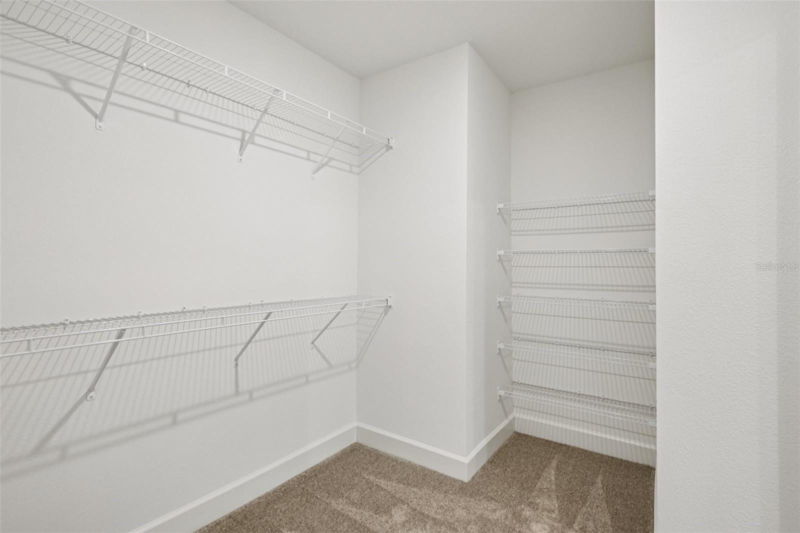 The Walk In Closet