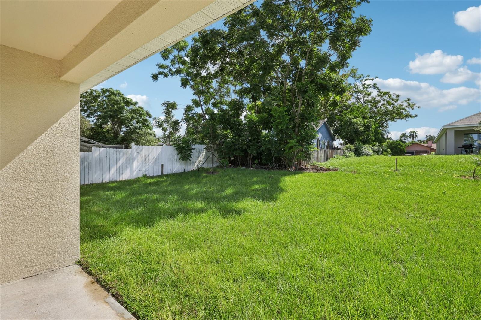 The Backyard