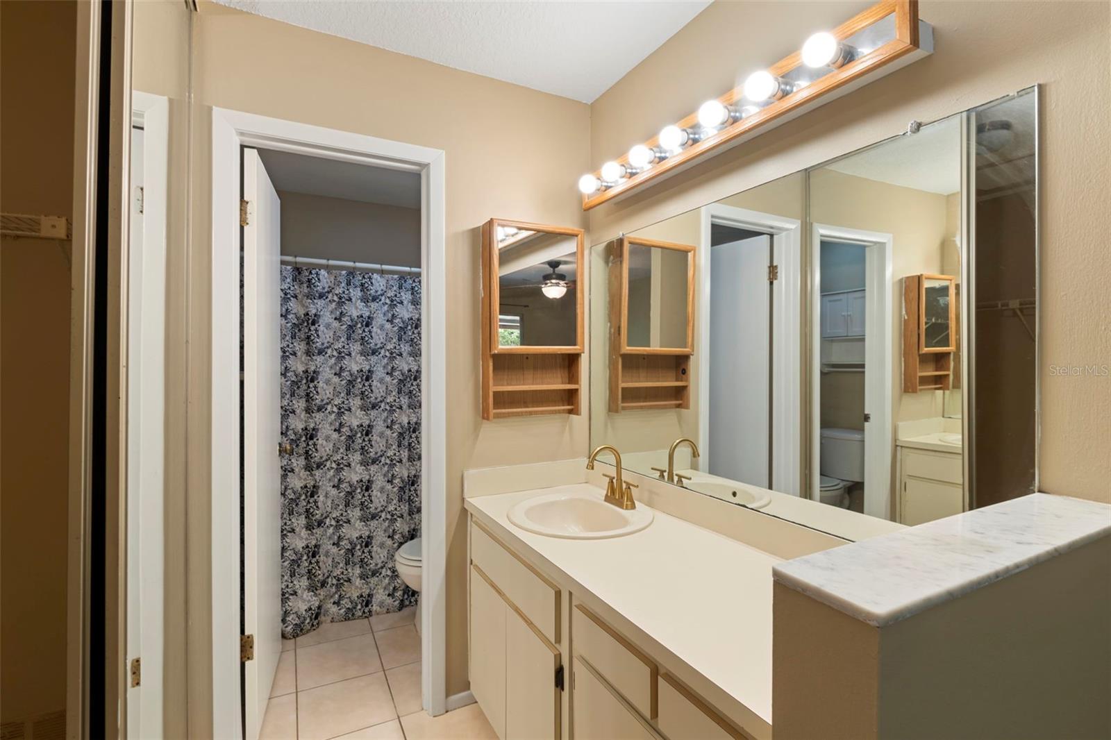 Primary bedroom en-suite bath and vanity