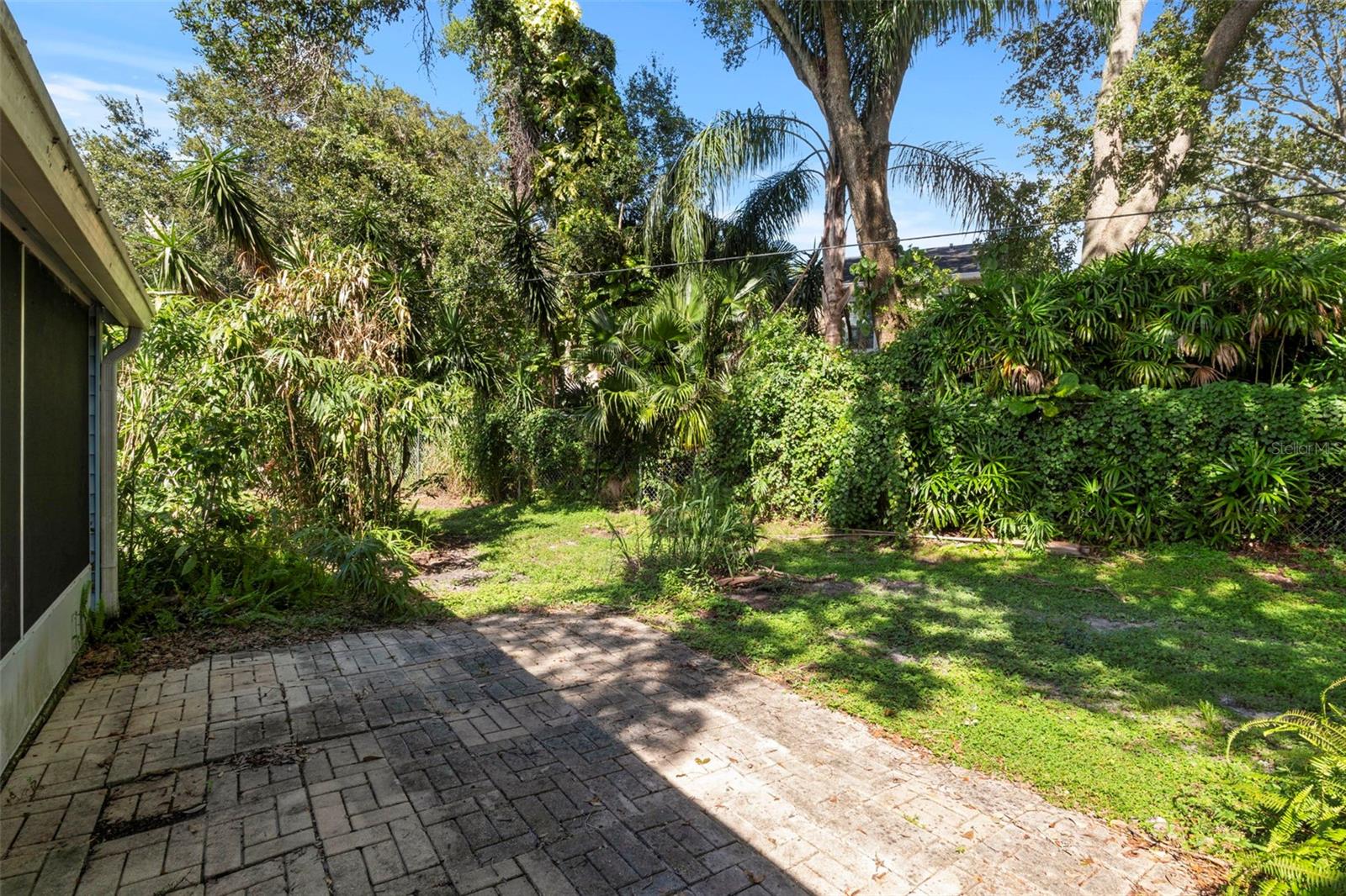 Tranquil backyard