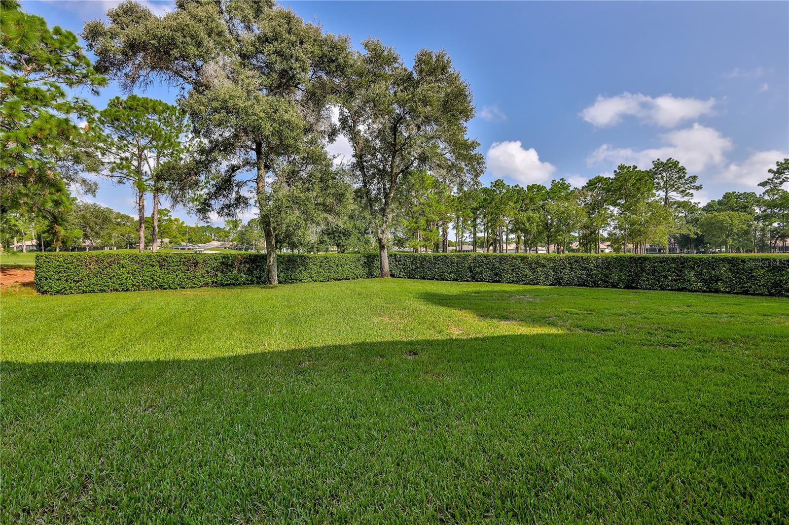 Rear Yard