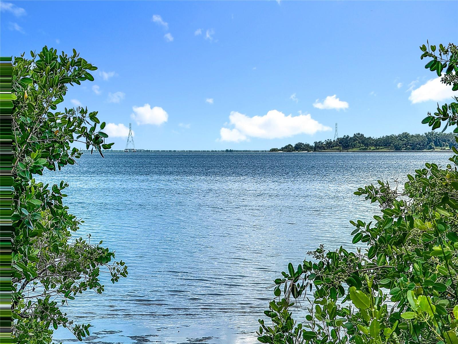 The Bay