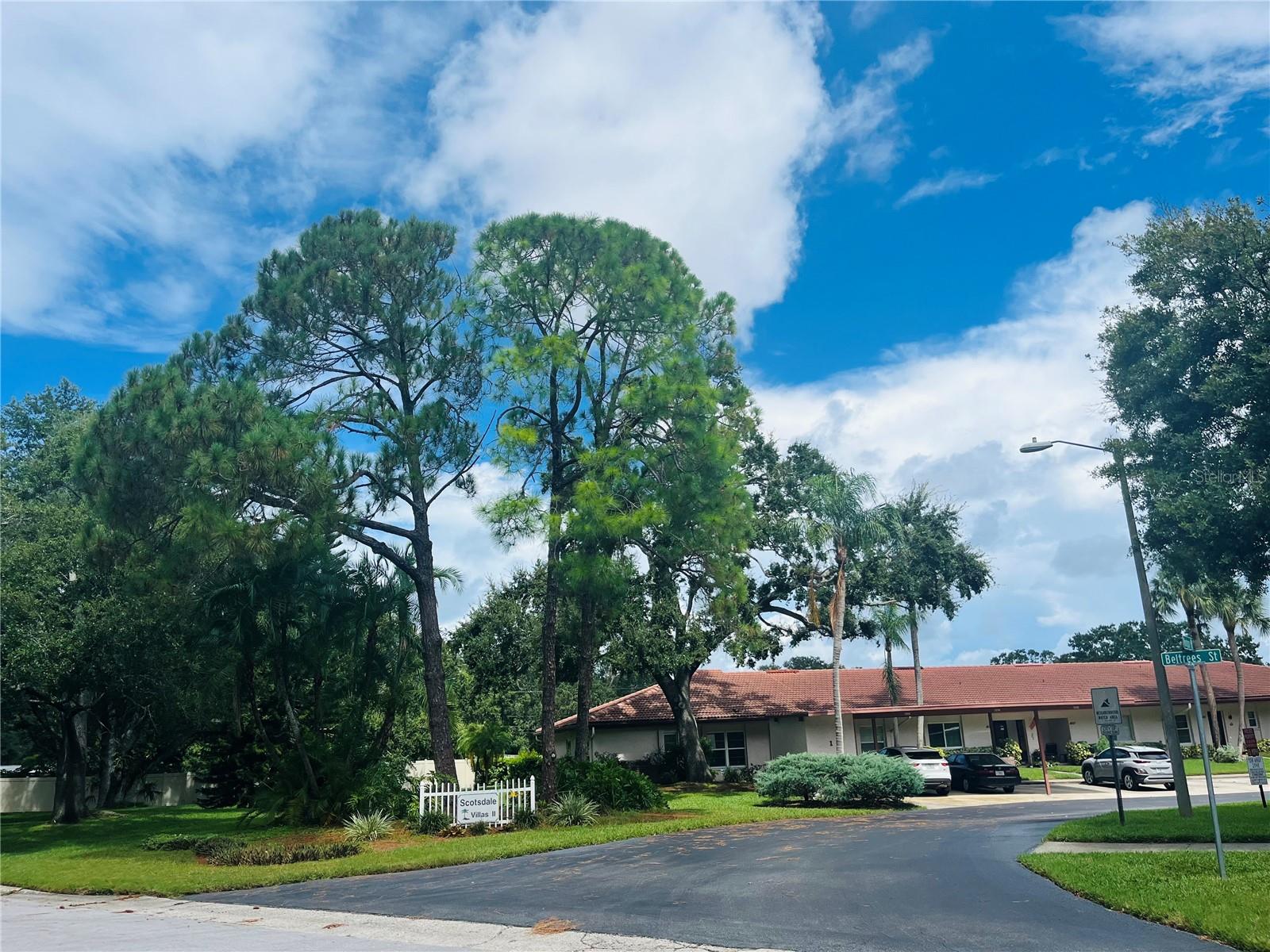 Welcome to Scotsdale Villas in Dunedin!