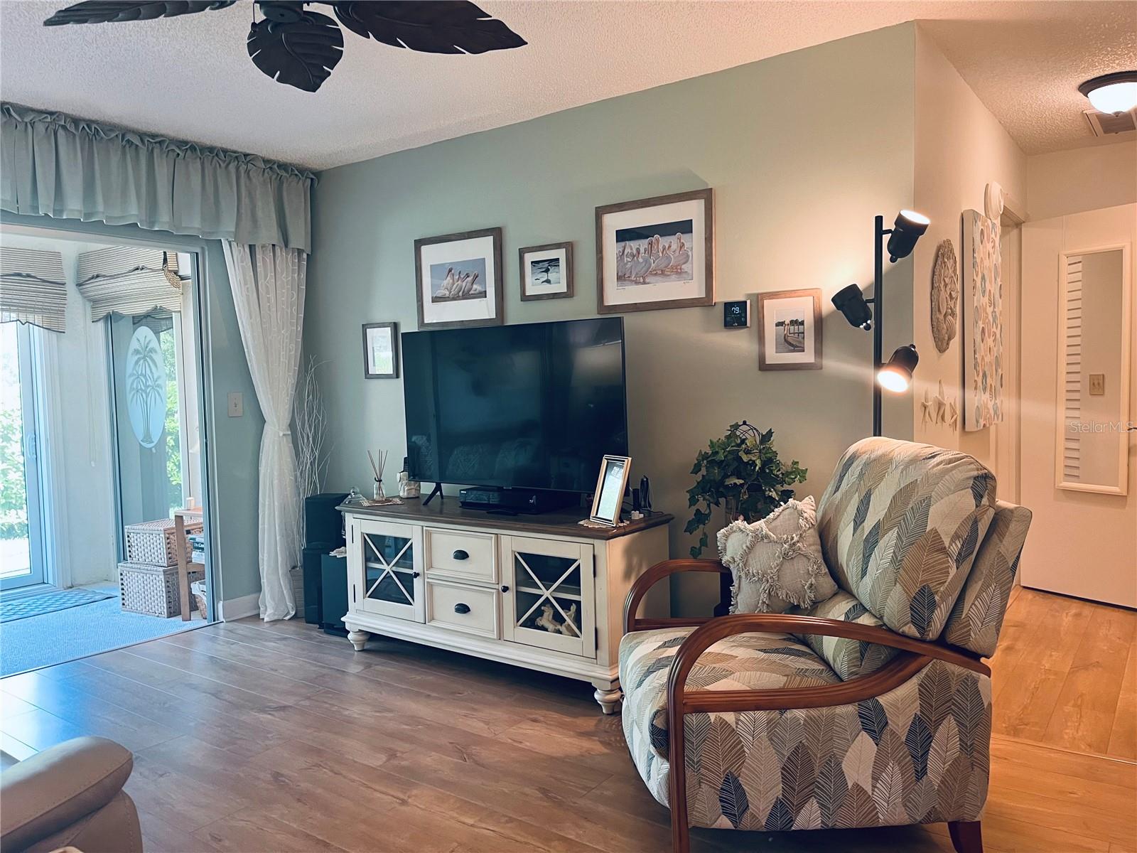 Spacious Living Room TV Area