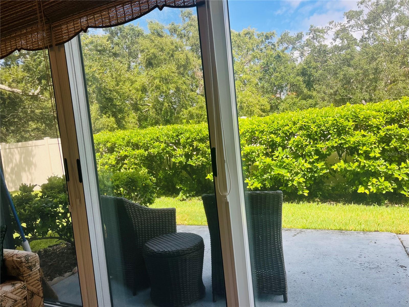 View from Lanai to Beautiful back yard area!