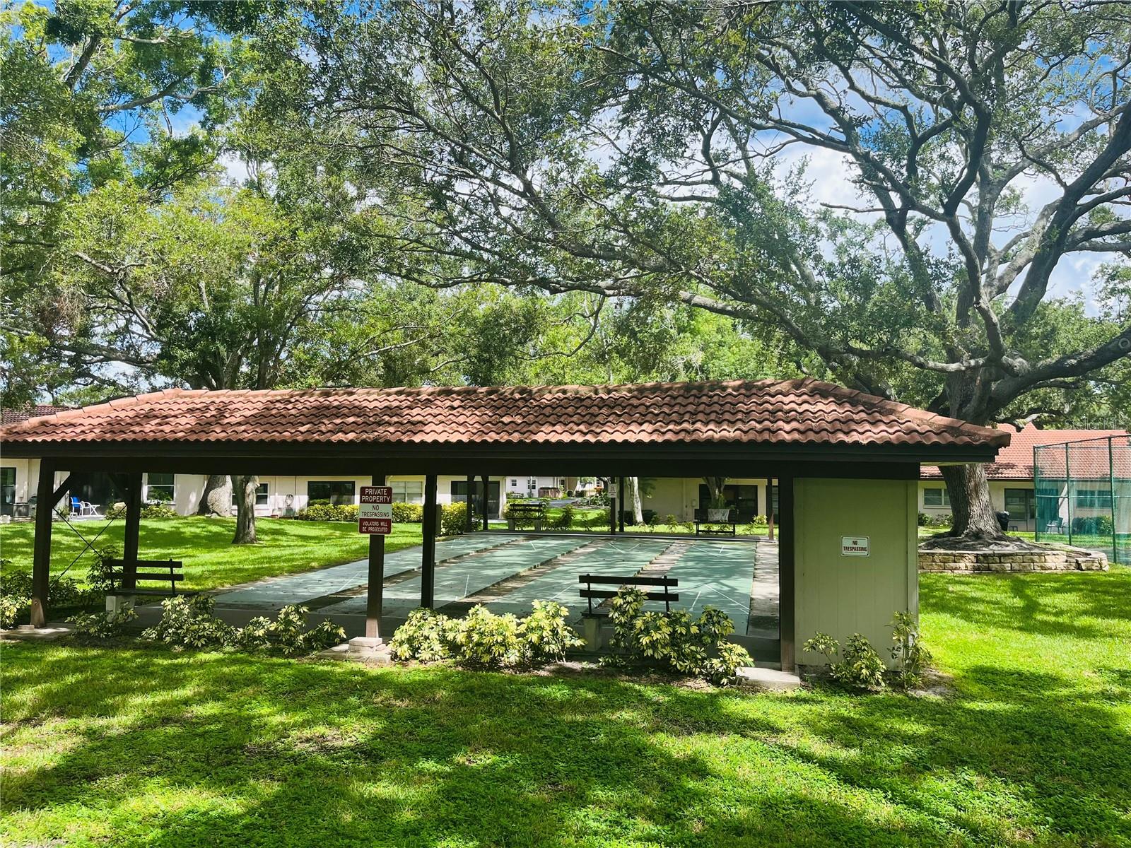Shuffleboard Courts! Near Main pool
