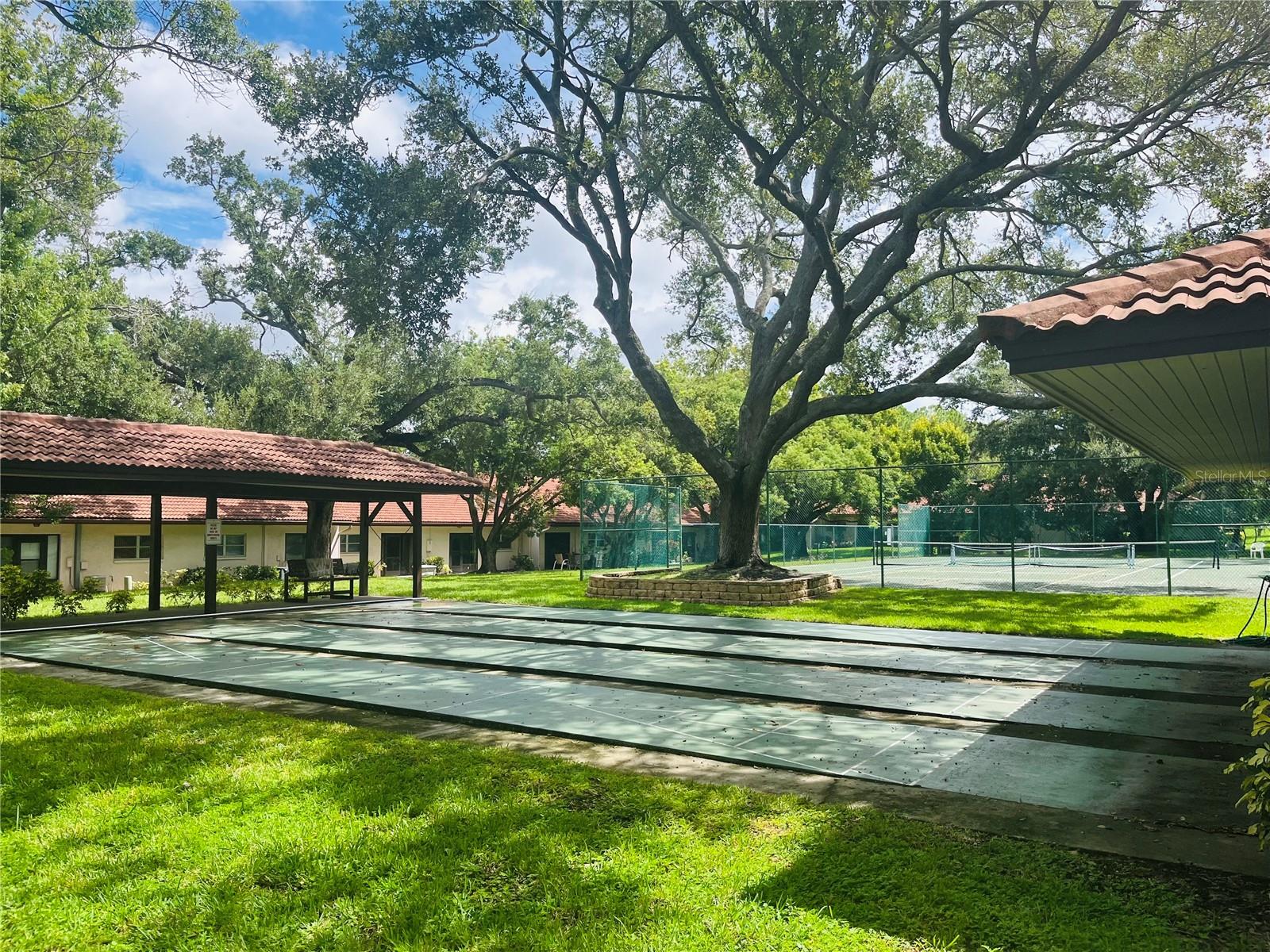 Shuffle Board Courts under Majestic Oak Trees!!