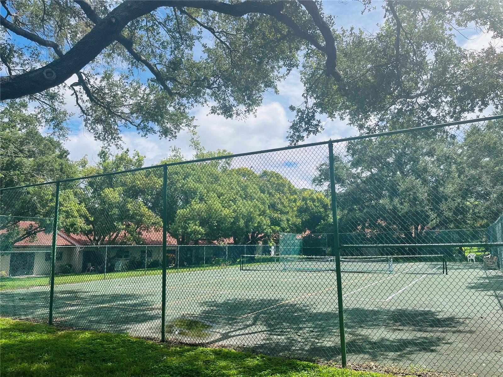 Breezy Tennis Courts!