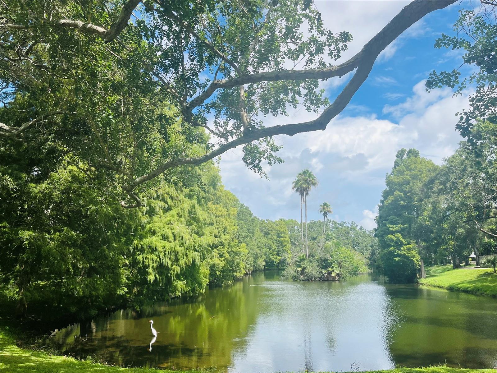 Serene lake at Scotsdale Park with SD Villas!