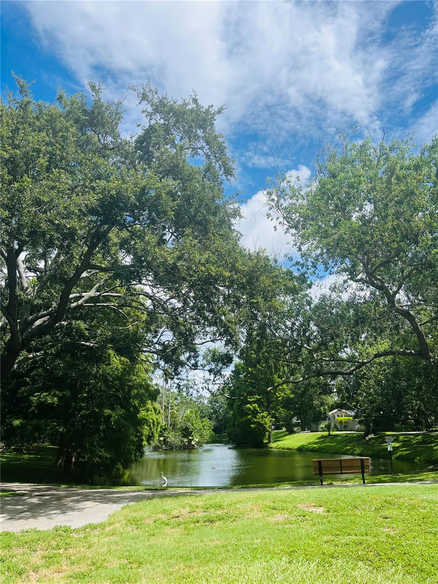 8- acre passive park with pond & wooded section!