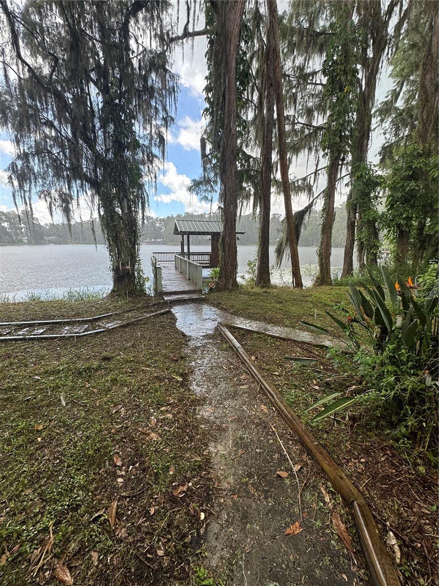 back yard and lake