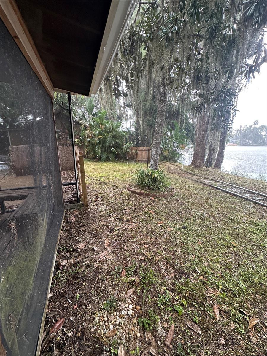 back yard