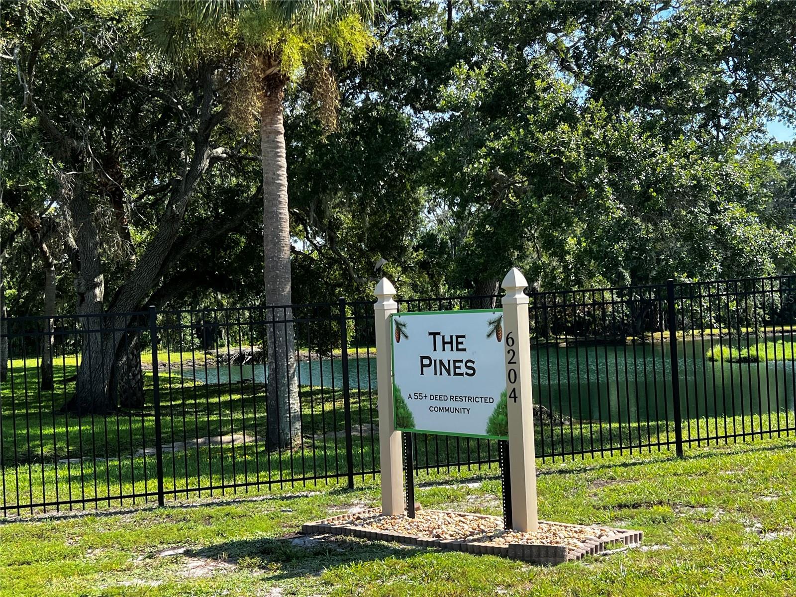 The Pines