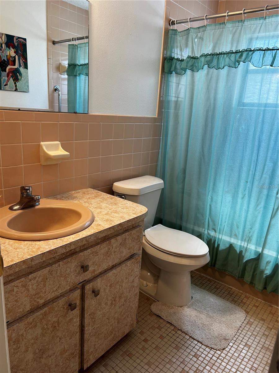 Hall Bathroom