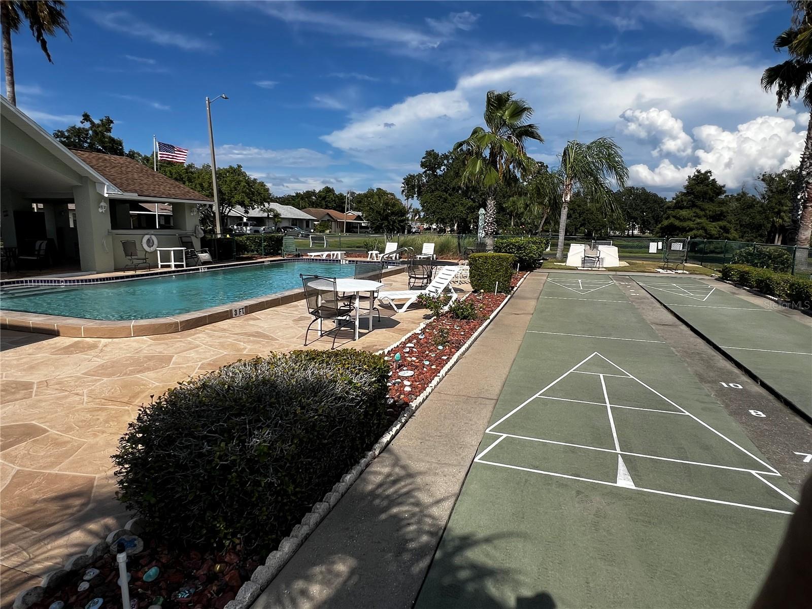 Pool and Shuffle Board