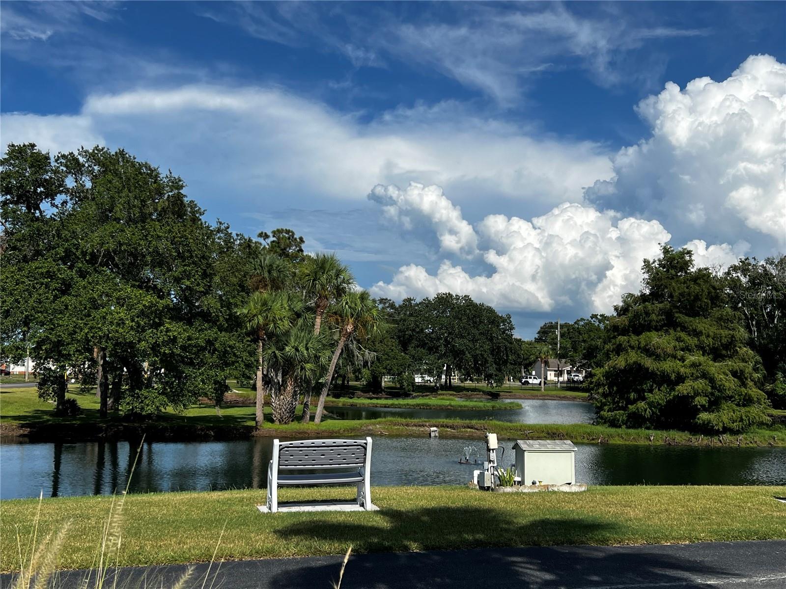 The Pond view from Pool