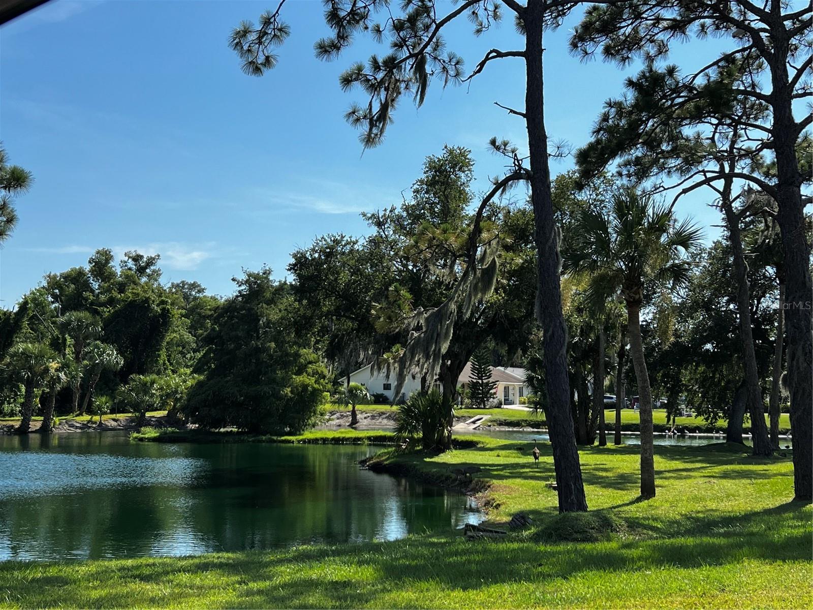Pond