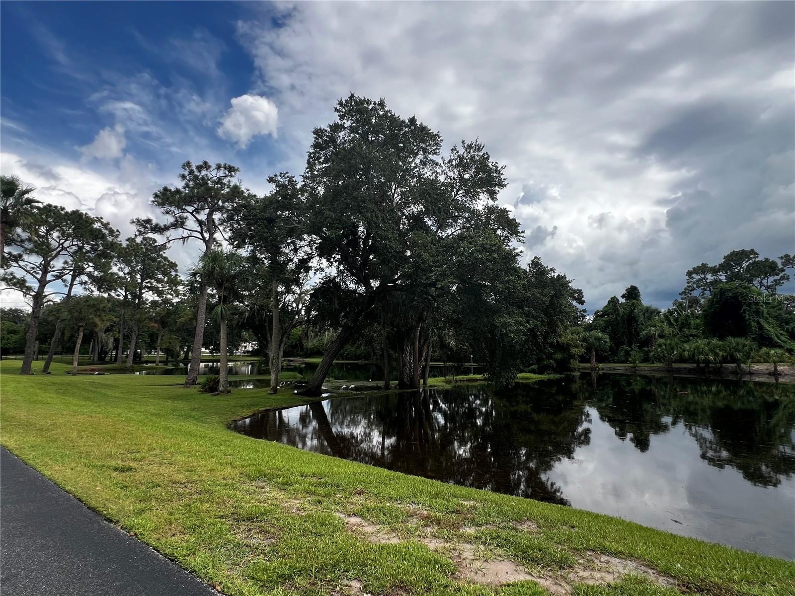 The Pines Pond
