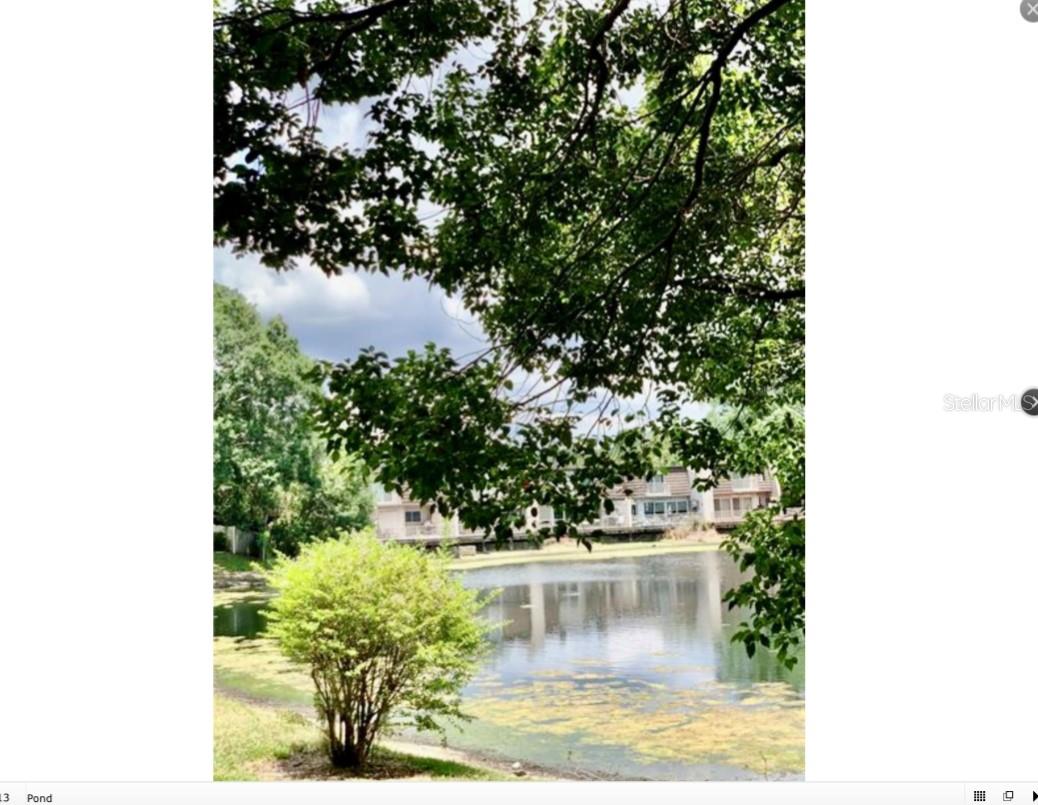 Pond View