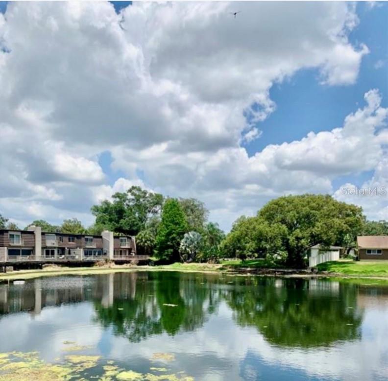 Pond view