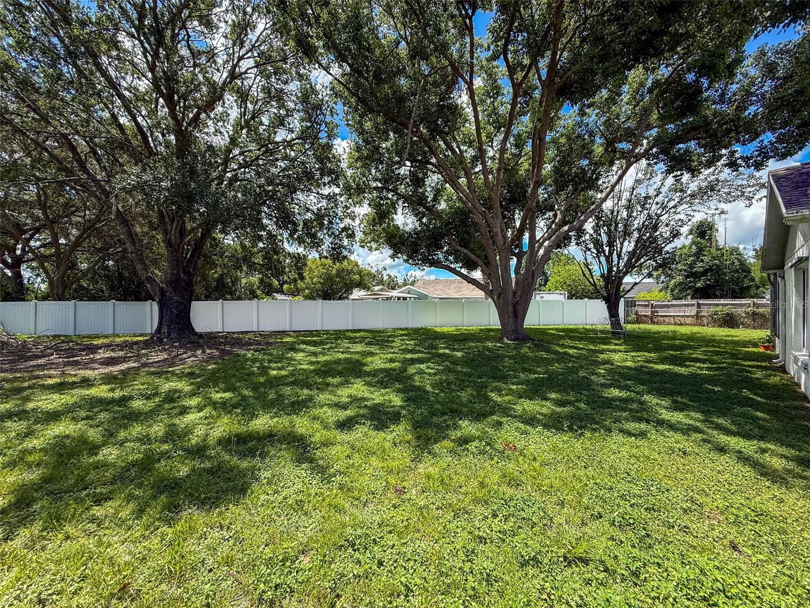 Rear Yard