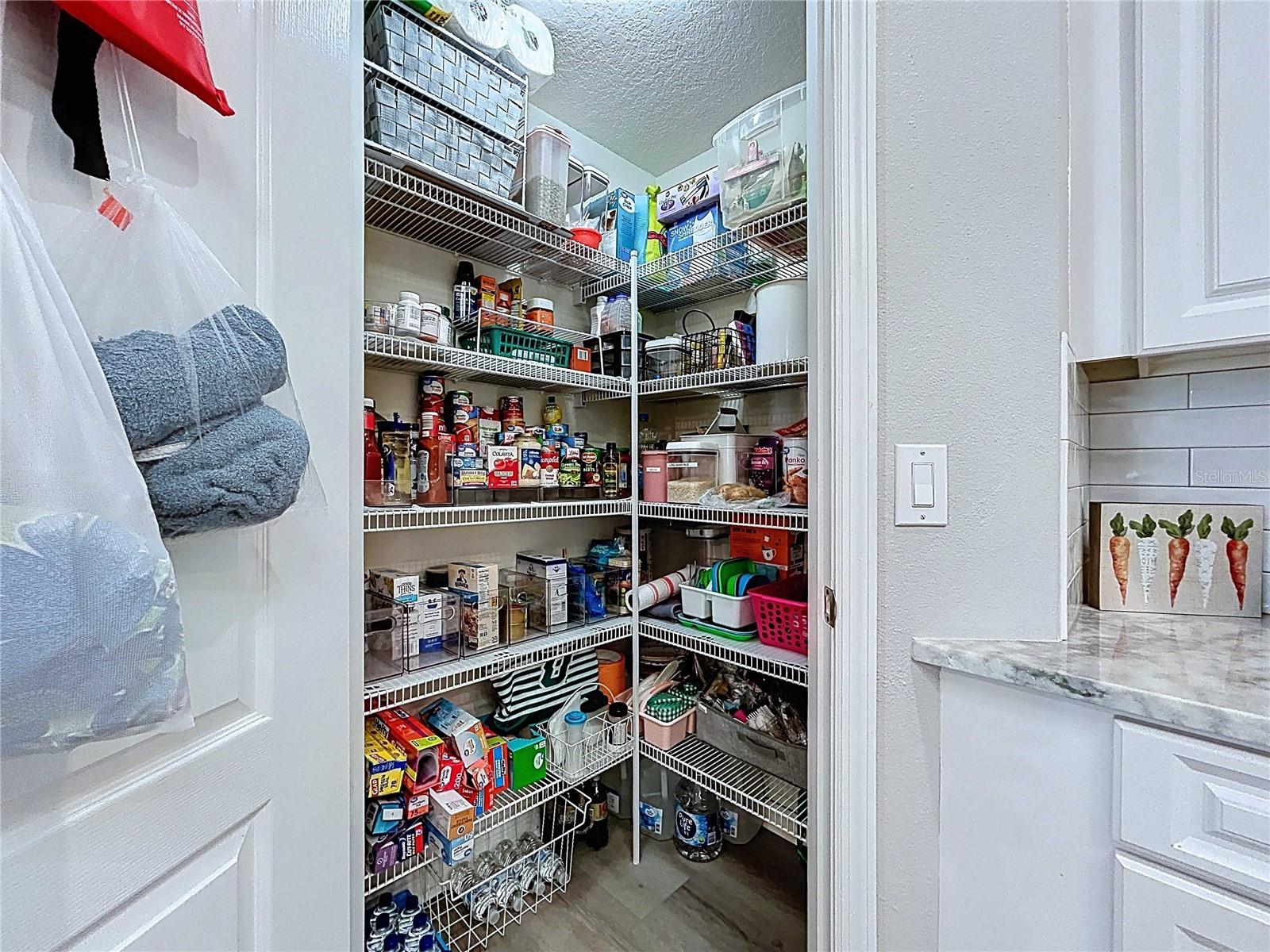 Spacious kitchen walk-in pantry
