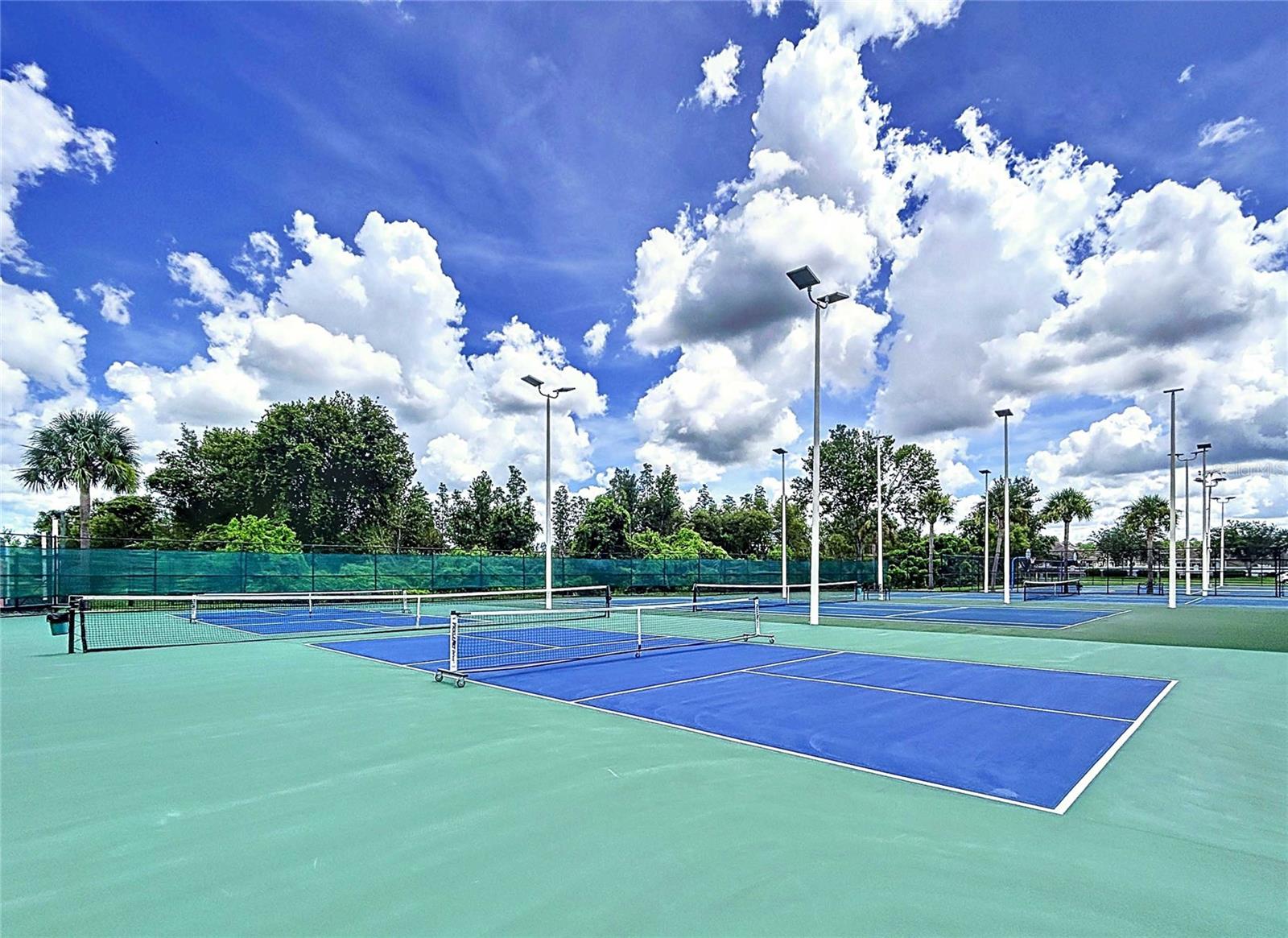 Multiple pickleball courts