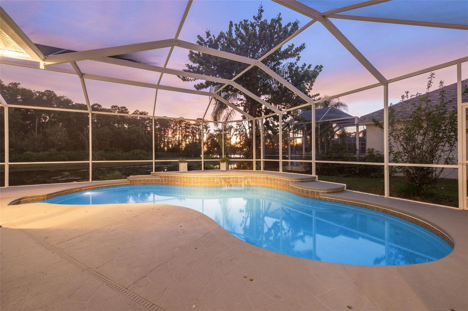 Screened-In Pool w/ Pond View
