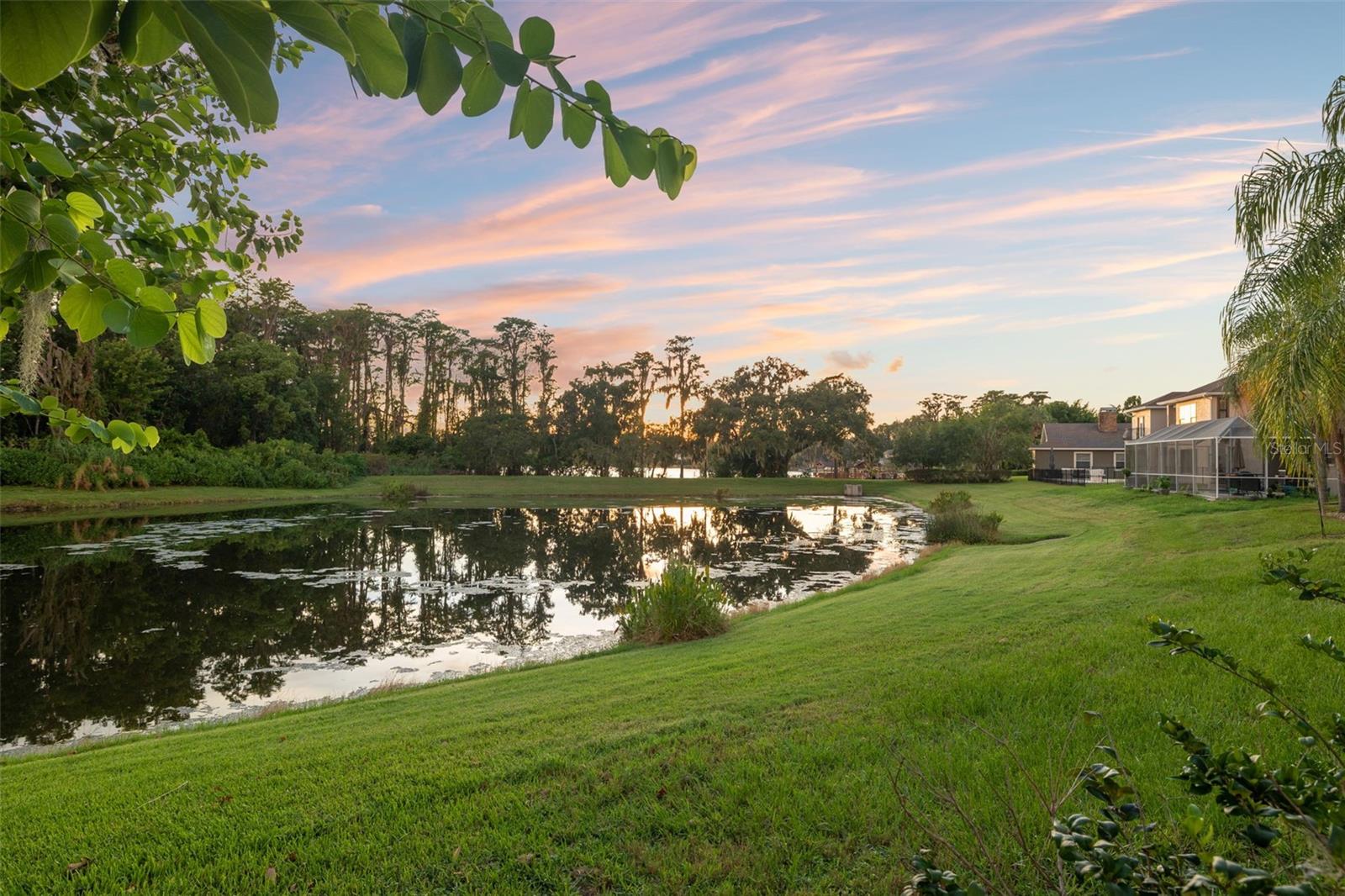 Pond View