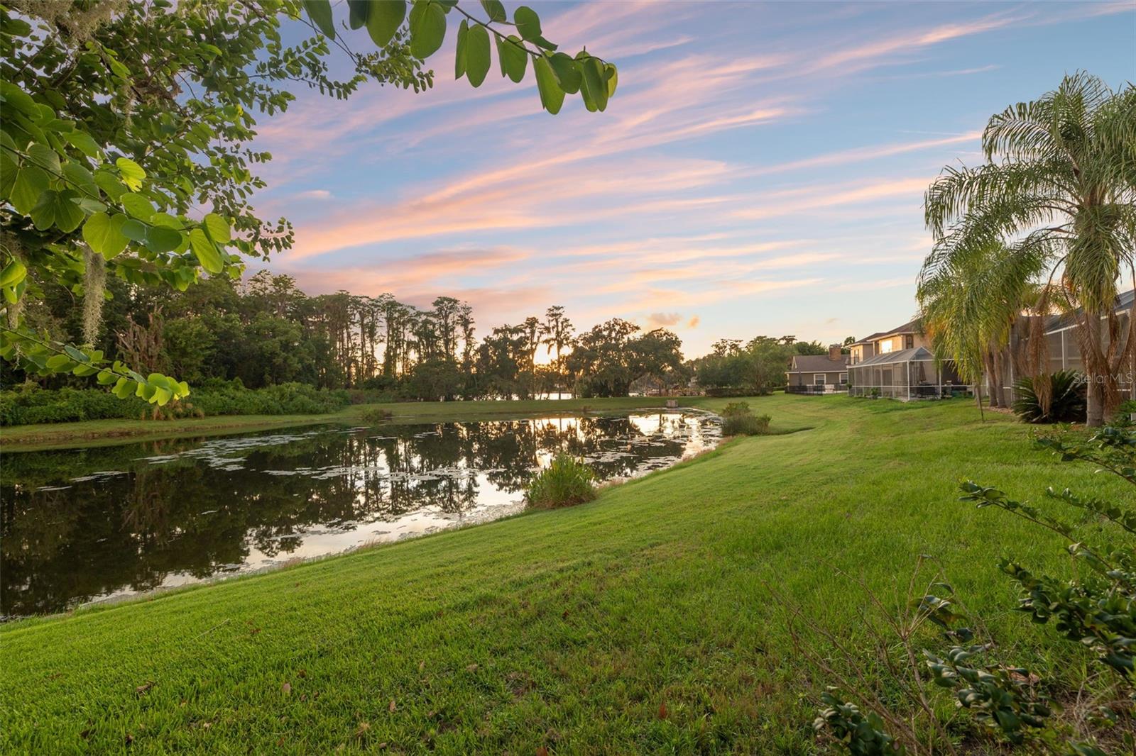 Pond View