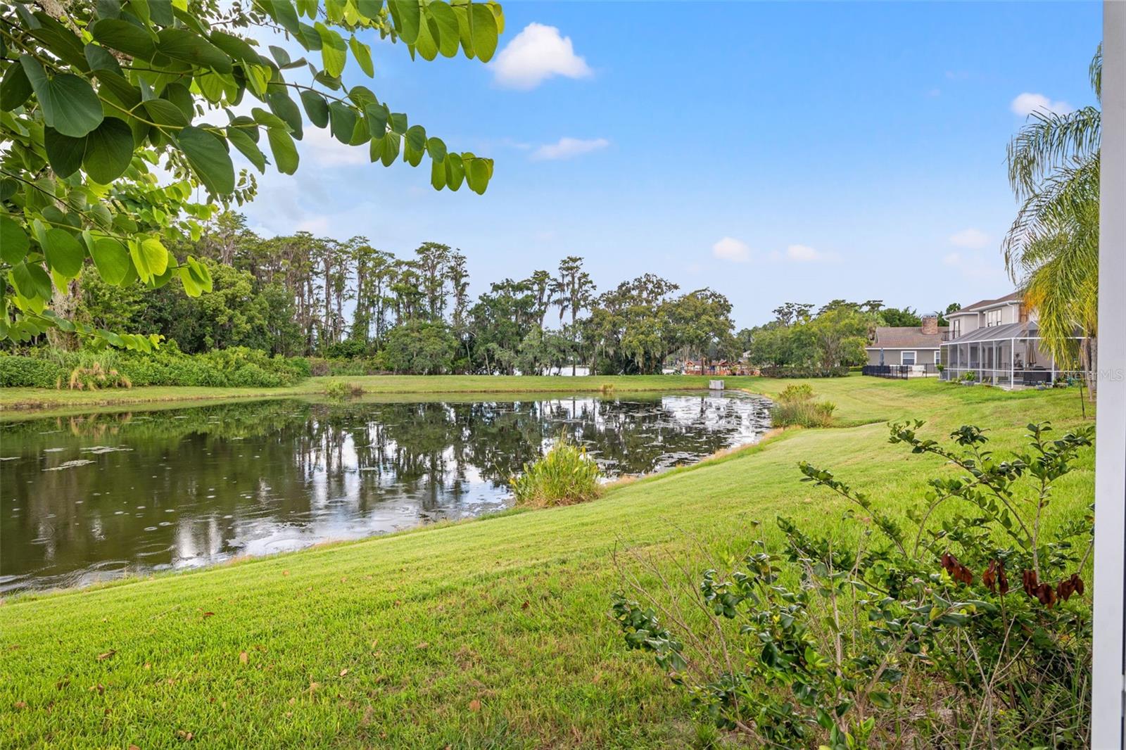 Pond View