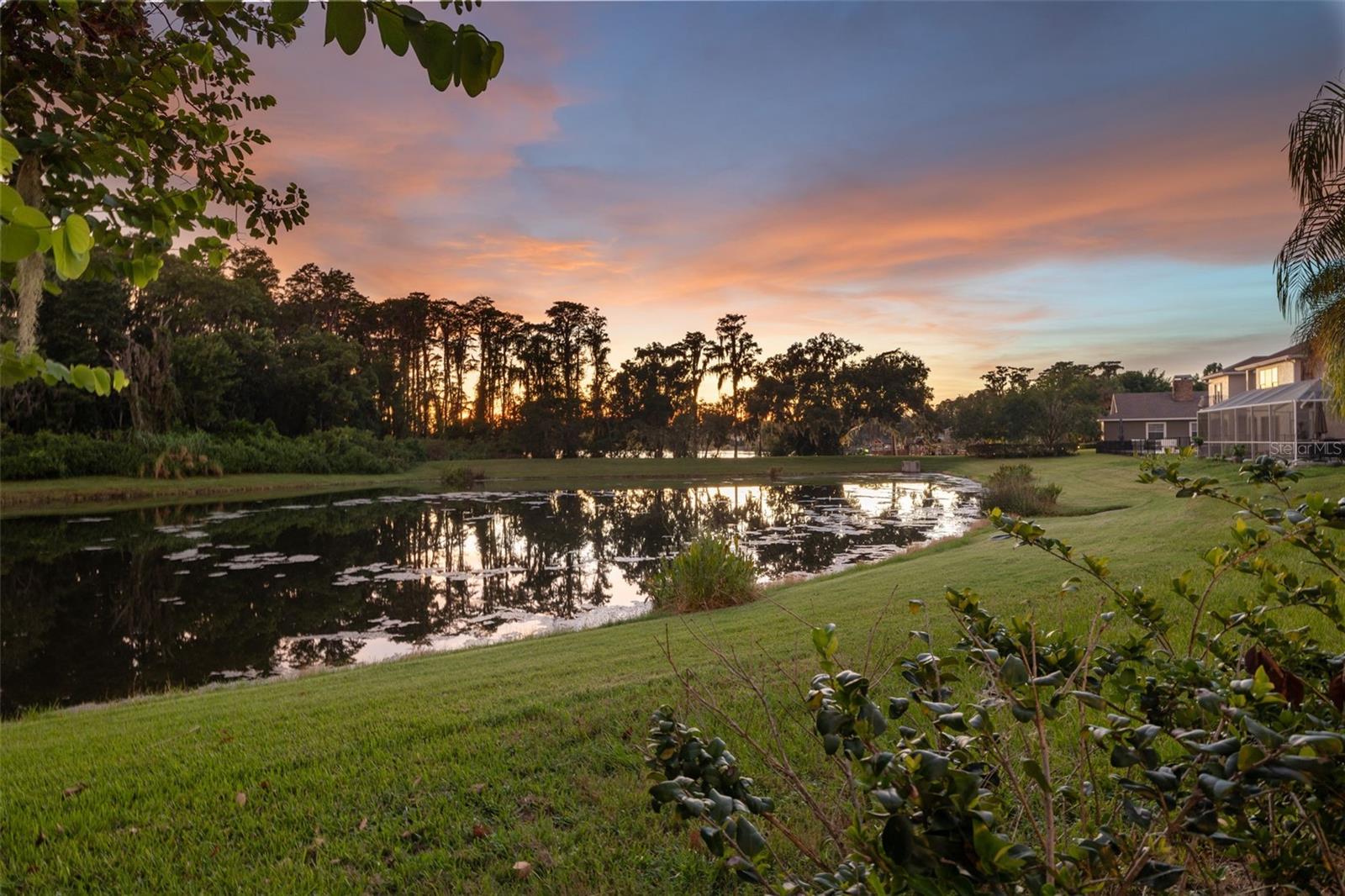 Pond