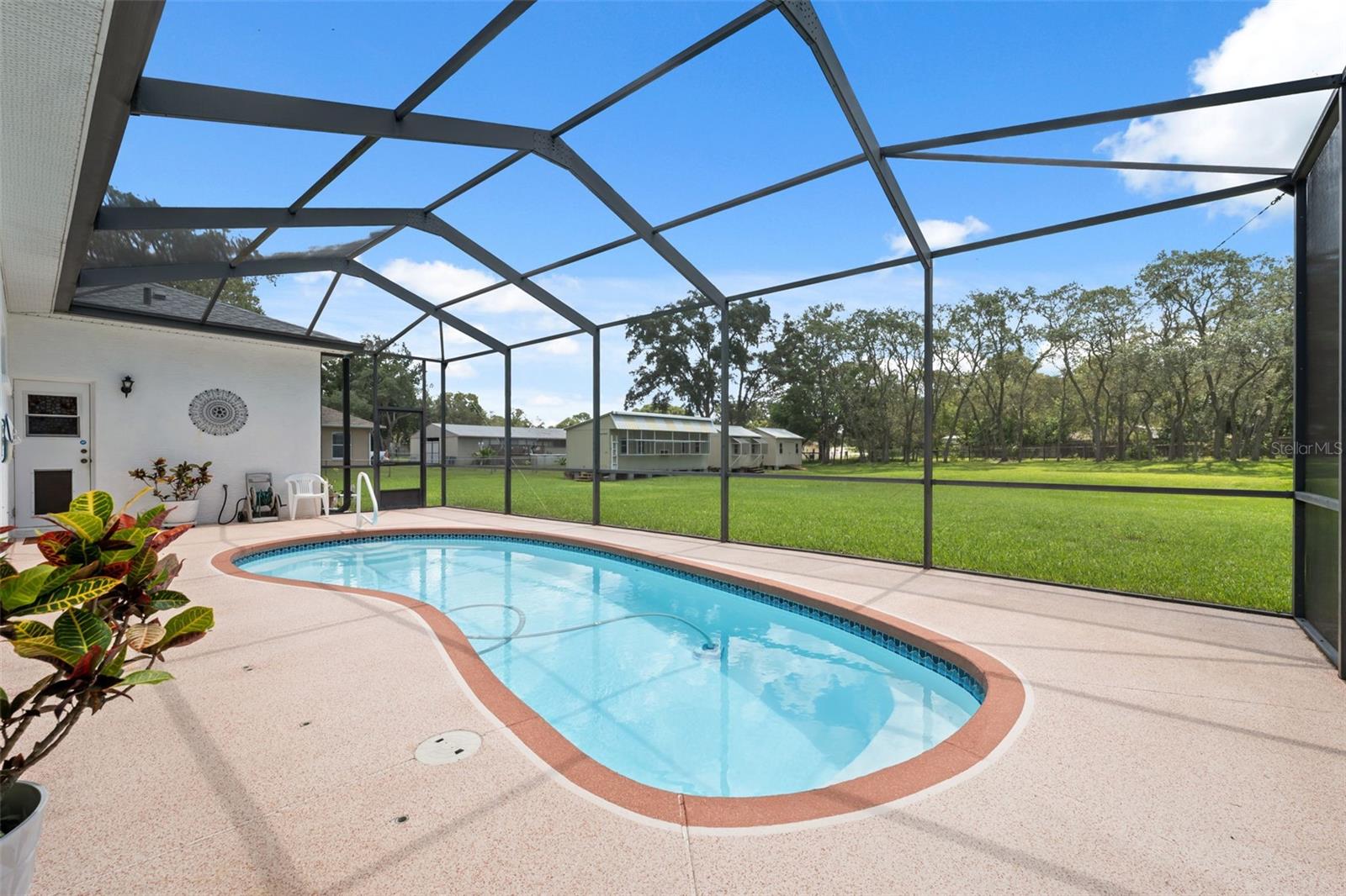 Saltwater pool overlooking the expansive yard