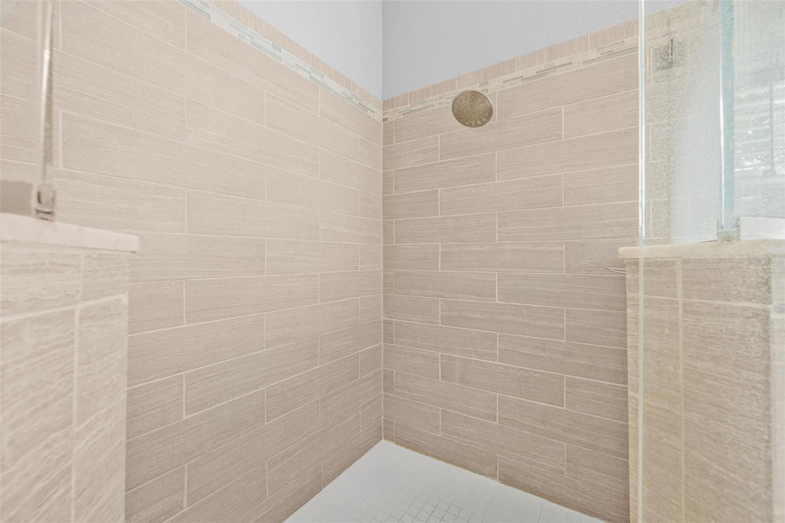 Primary Shower