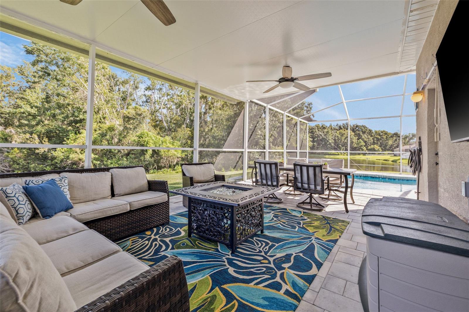 Bonus Space in lanai