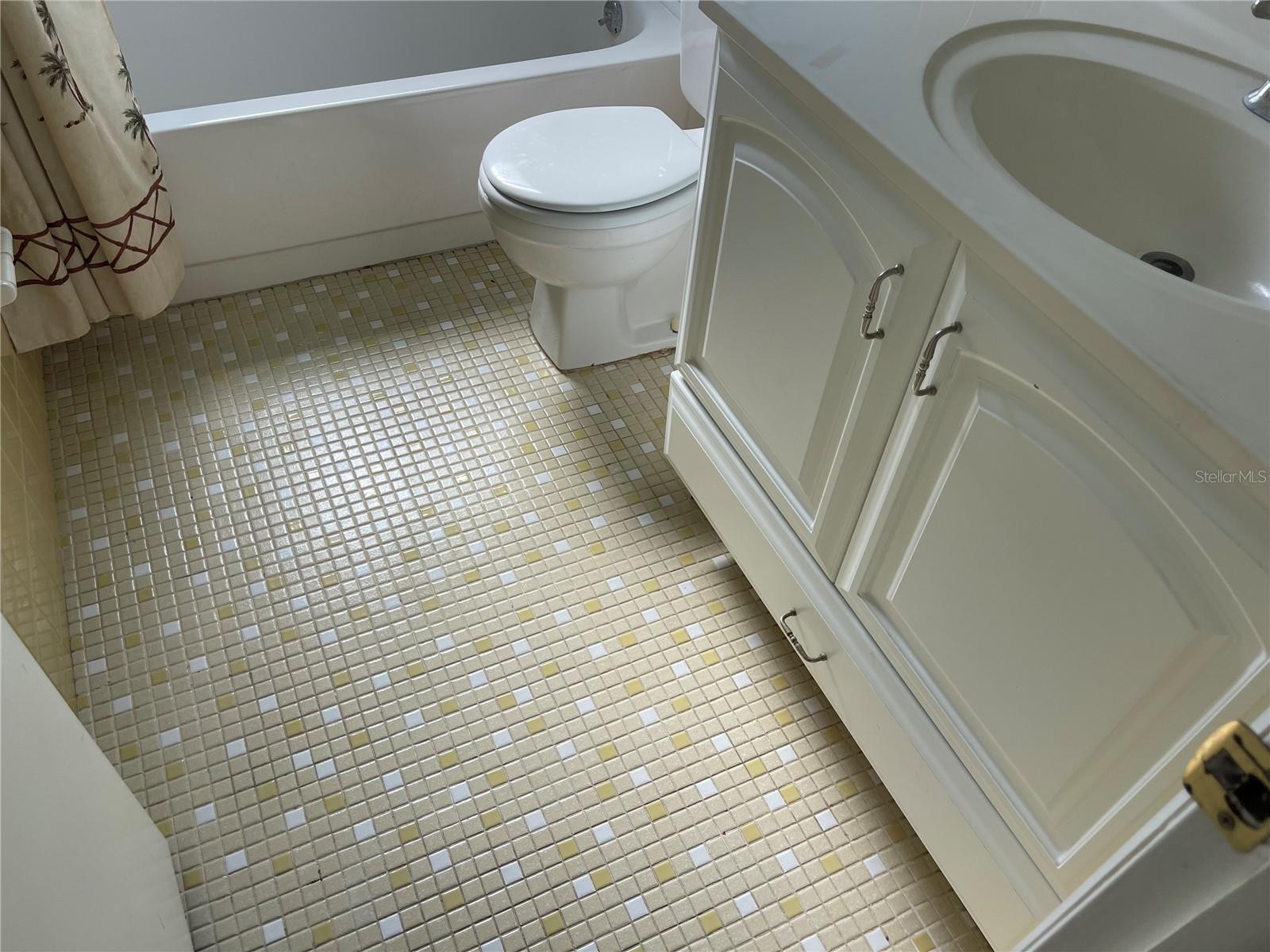 SUPER COOL BATHROOM FLOOR!