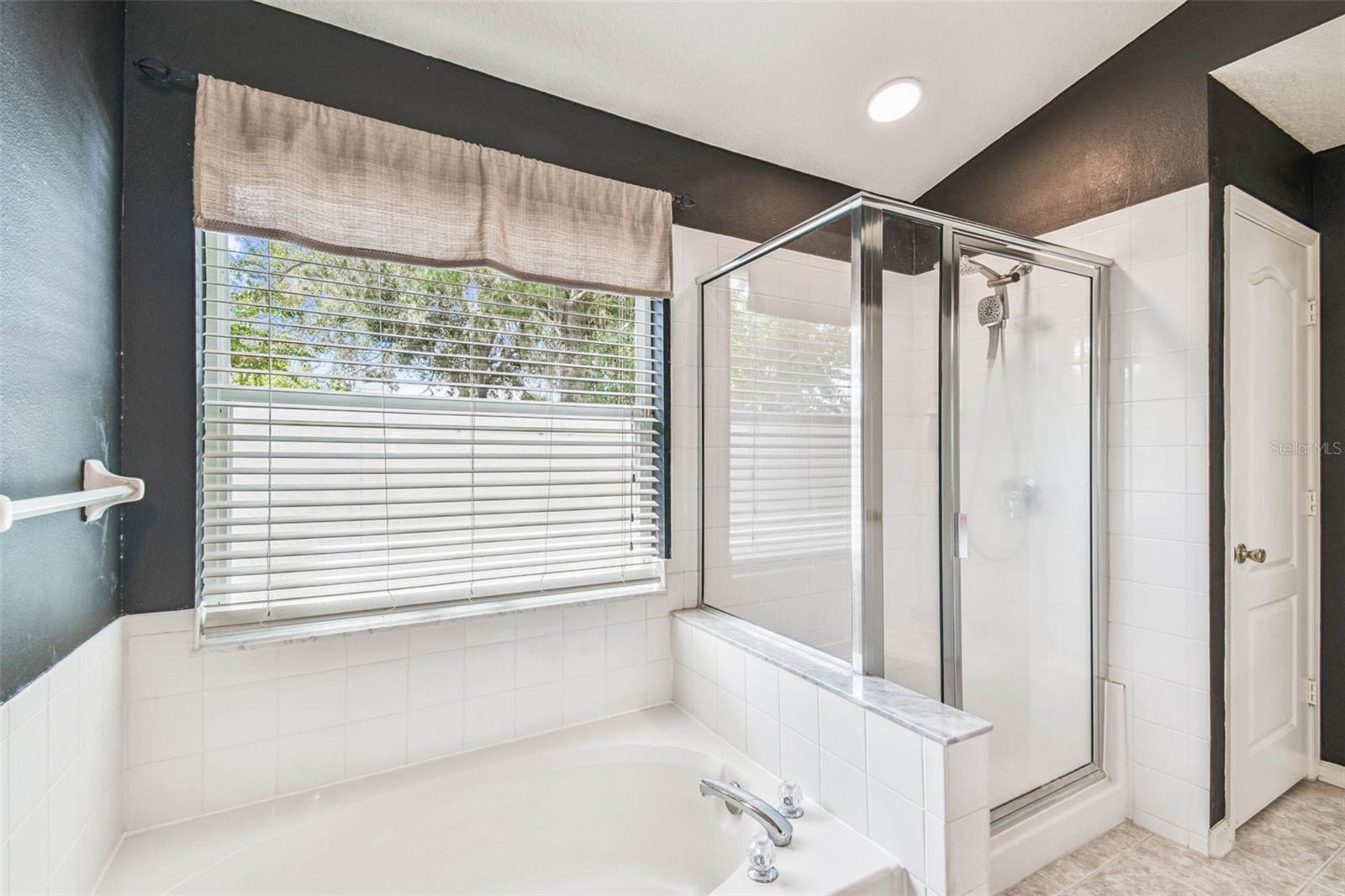 Primary Bath-Tub-Shower