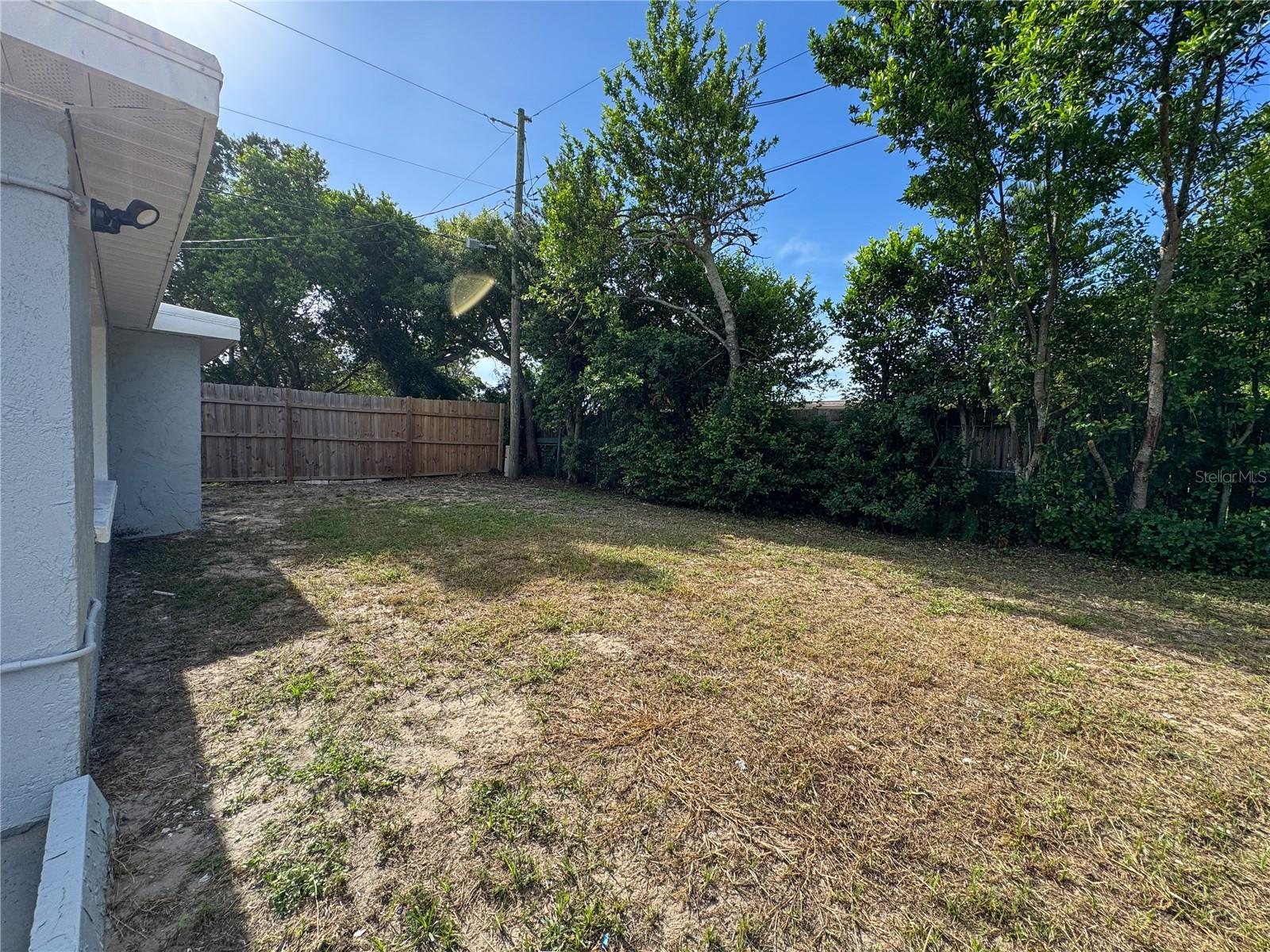 Backyard