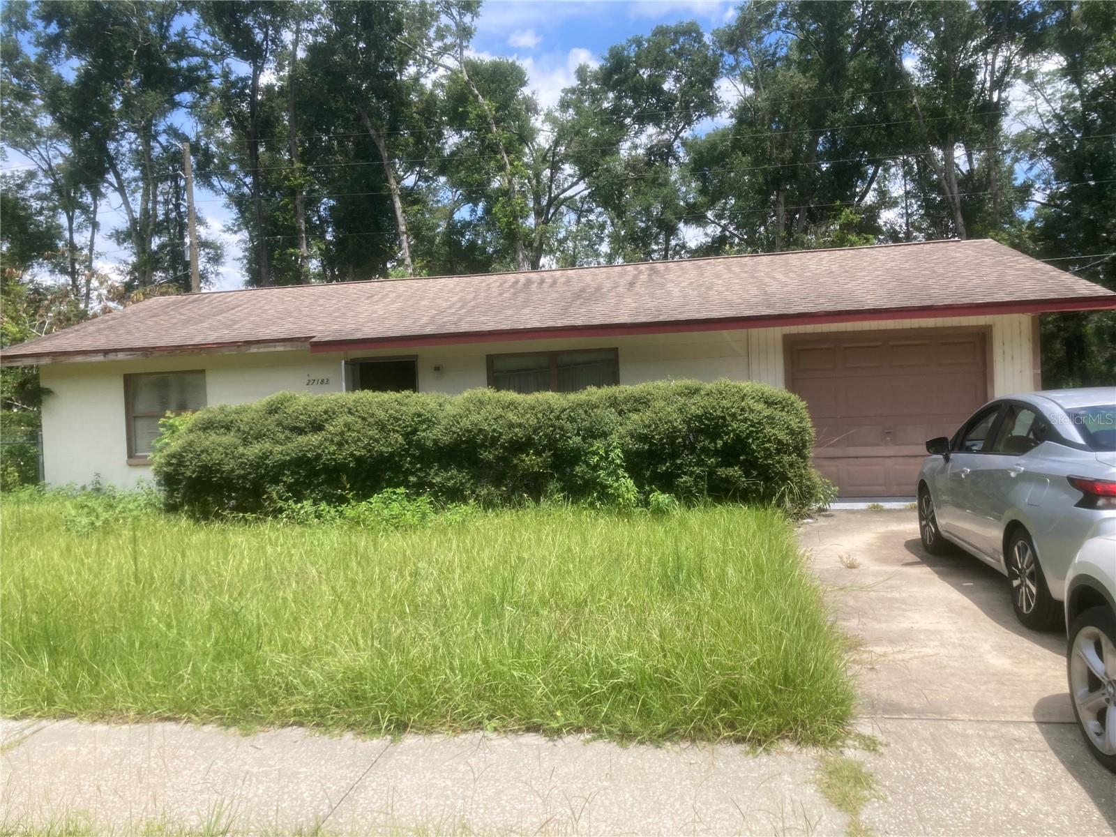 Front before lawn cut