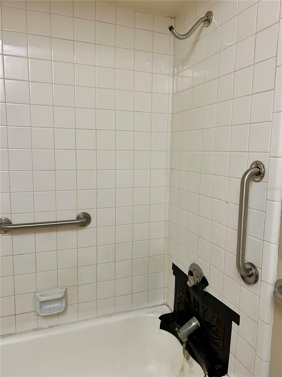 Guest tub and shower