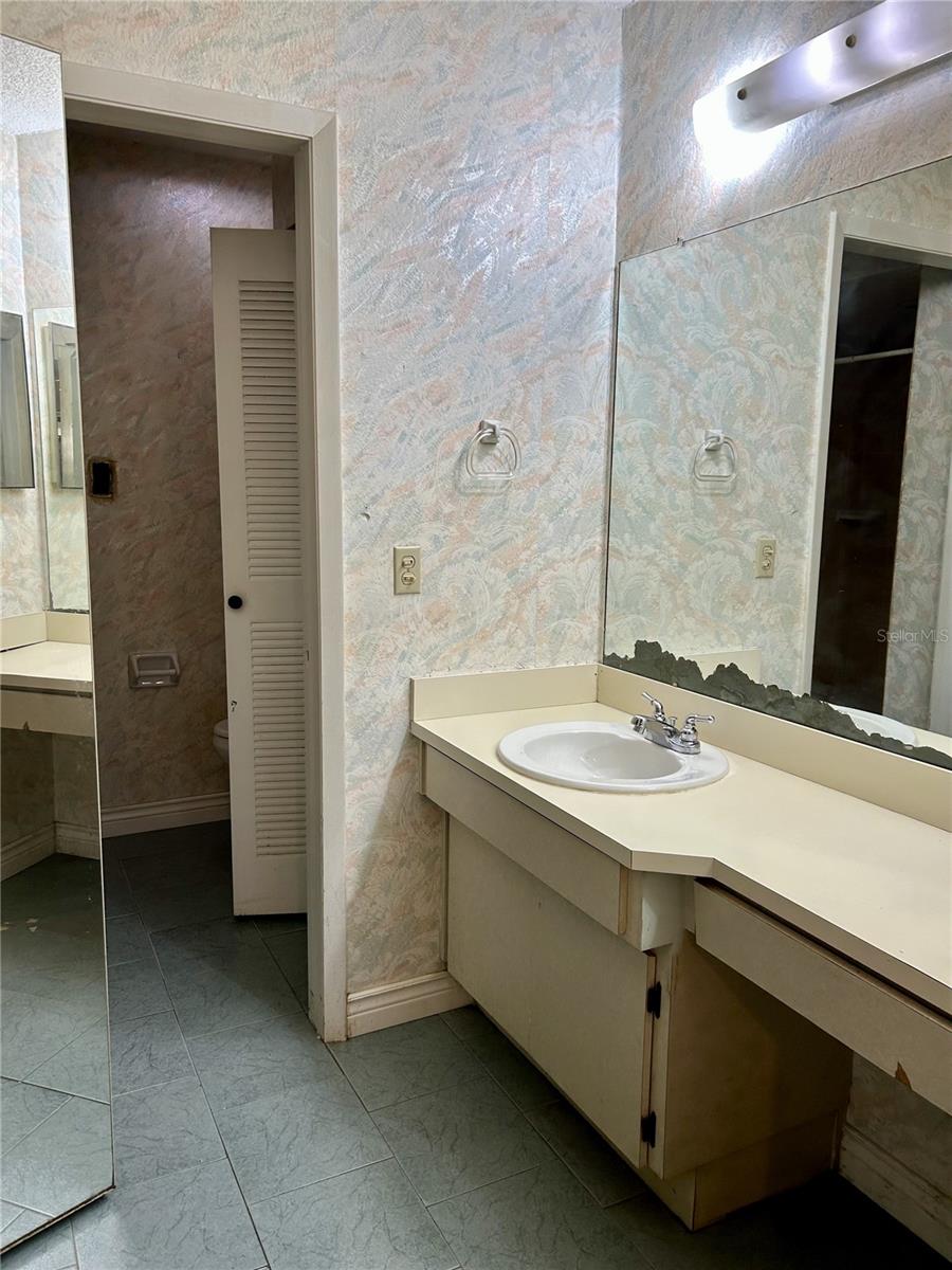Primary bathroom area