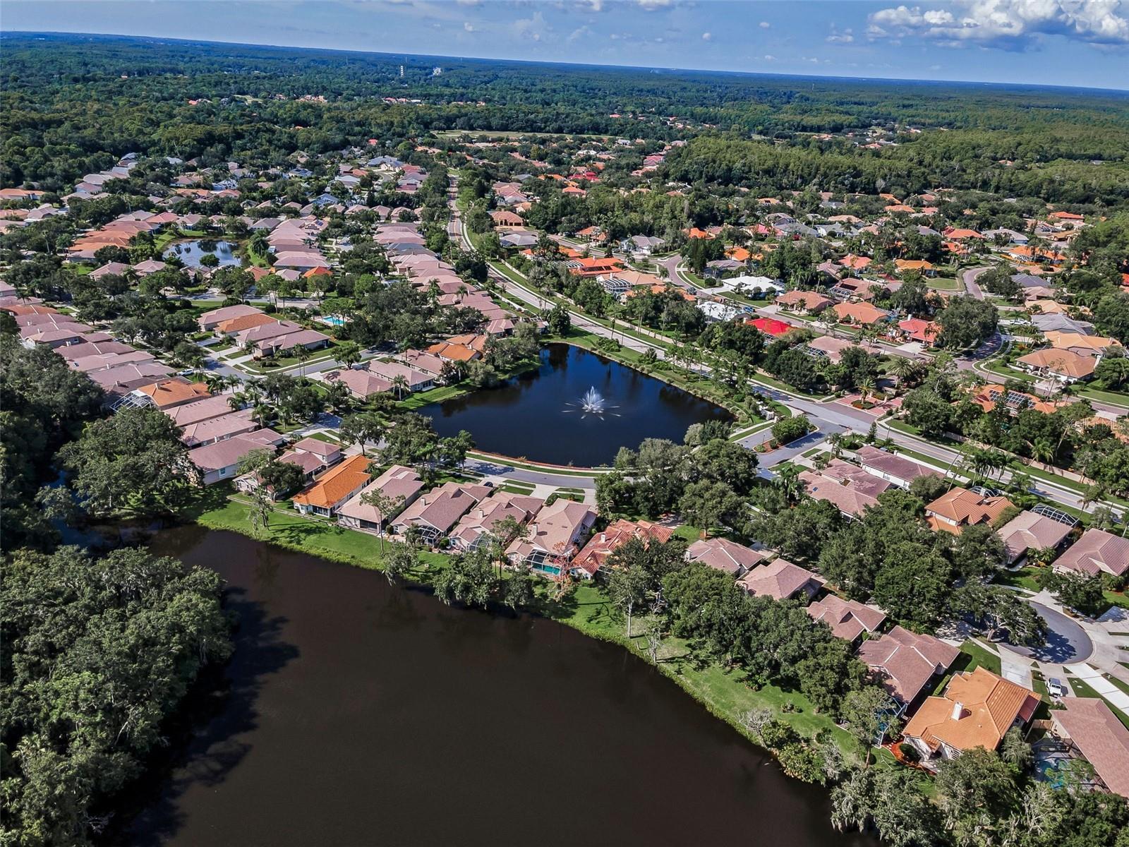 W7878203