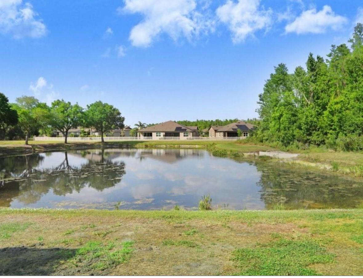 Pond View