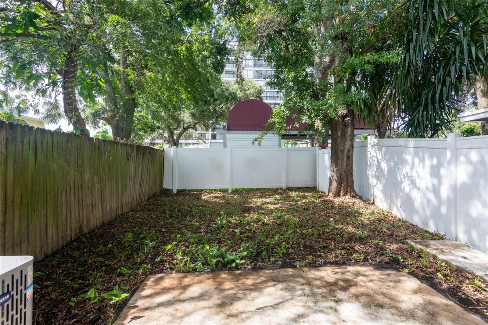 Back Yard