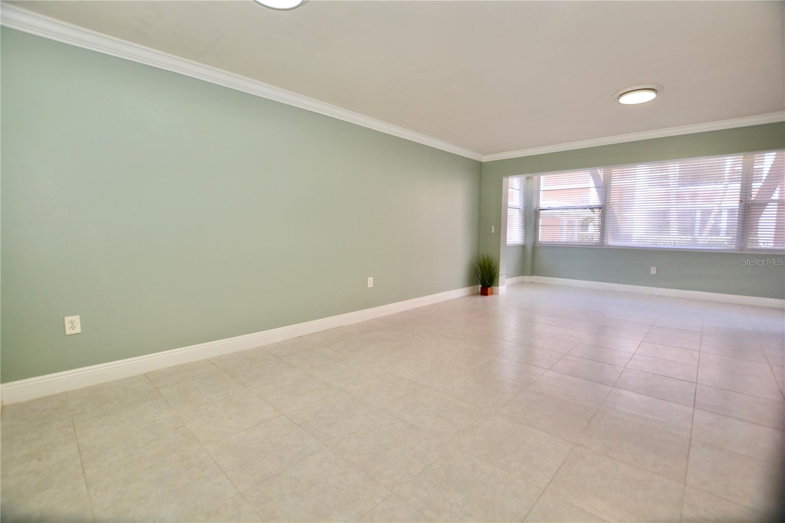 Living Room / Dinning Room
