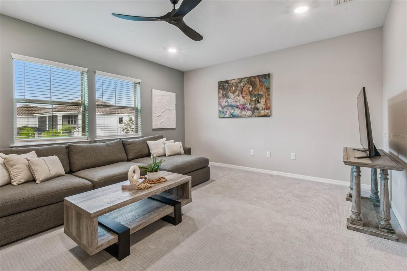Bonus/Loft Area