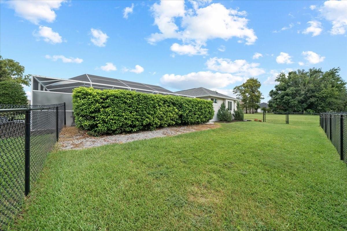 Spacious fenced yard