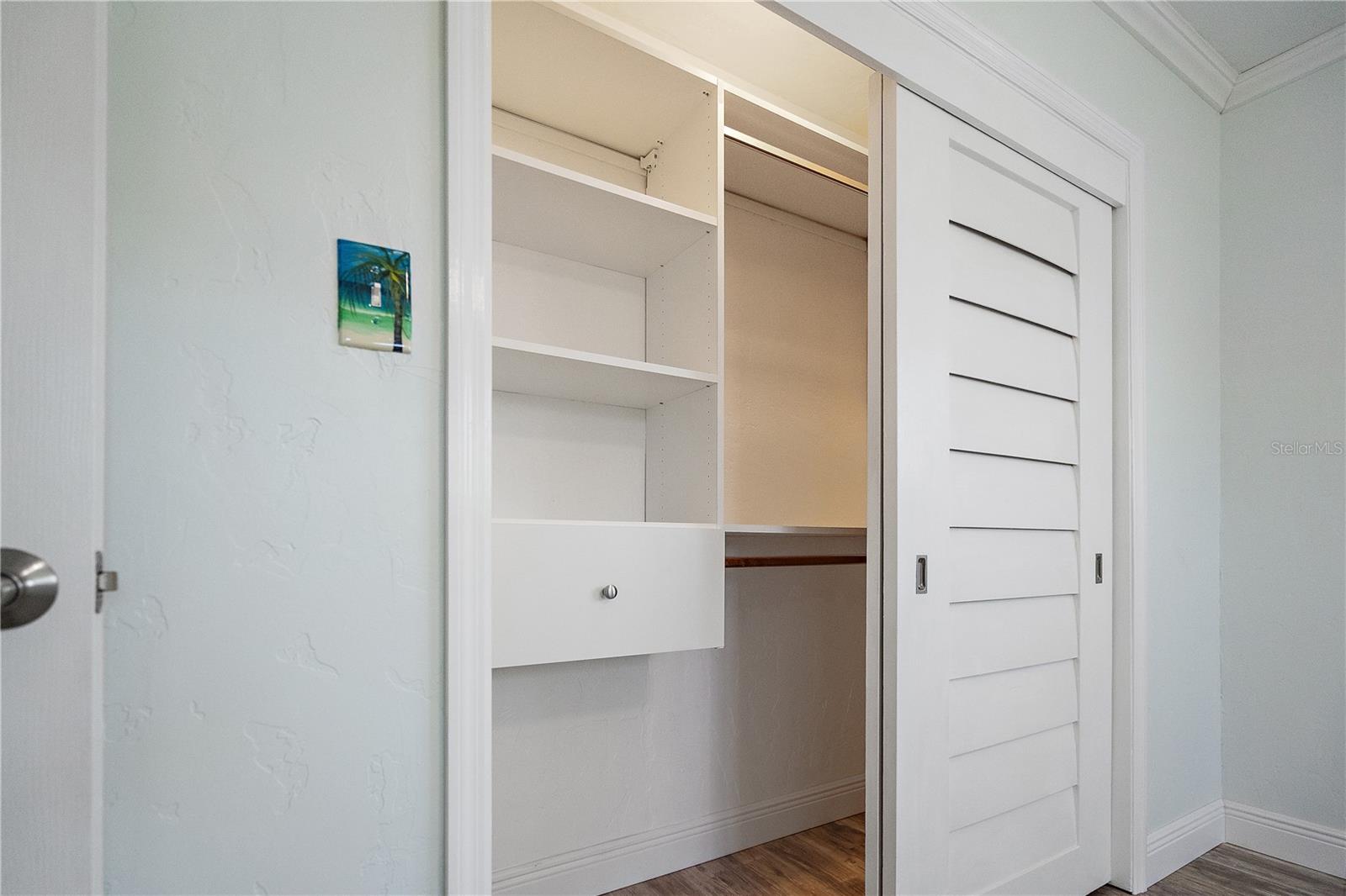 Closet Organizers - Guest Br (but ALL closets)