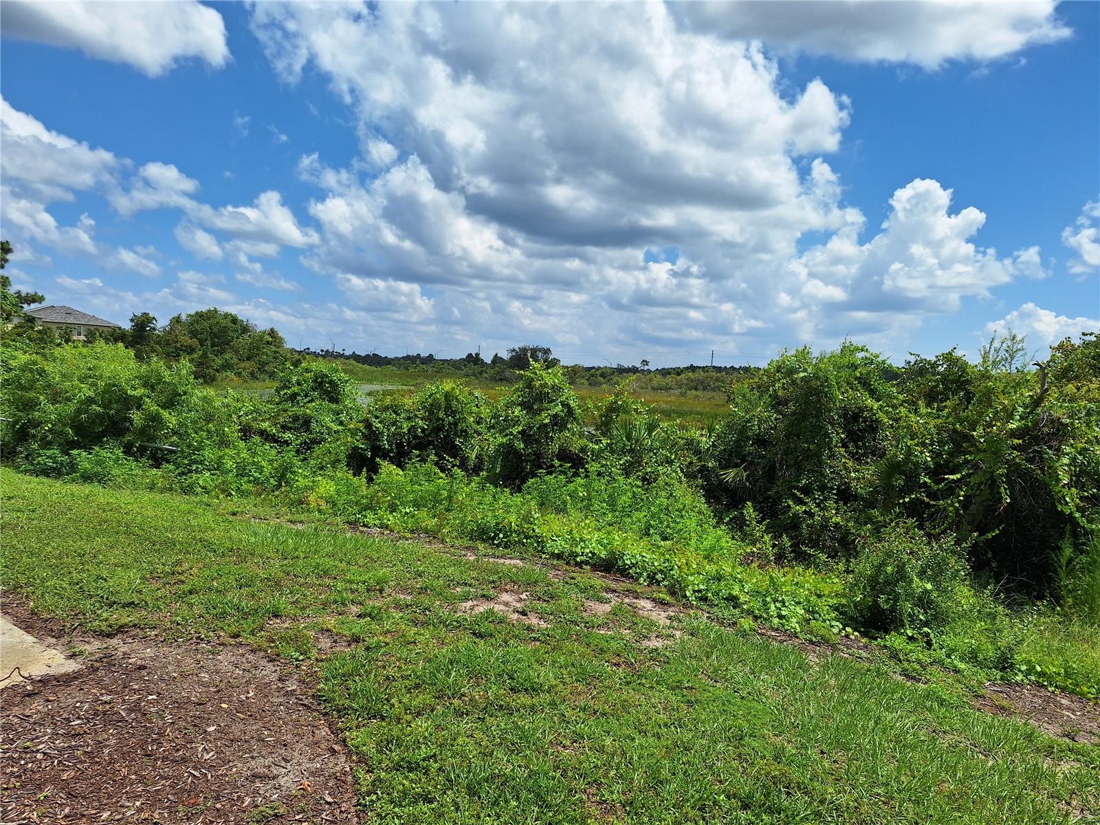 Large area of Conservation