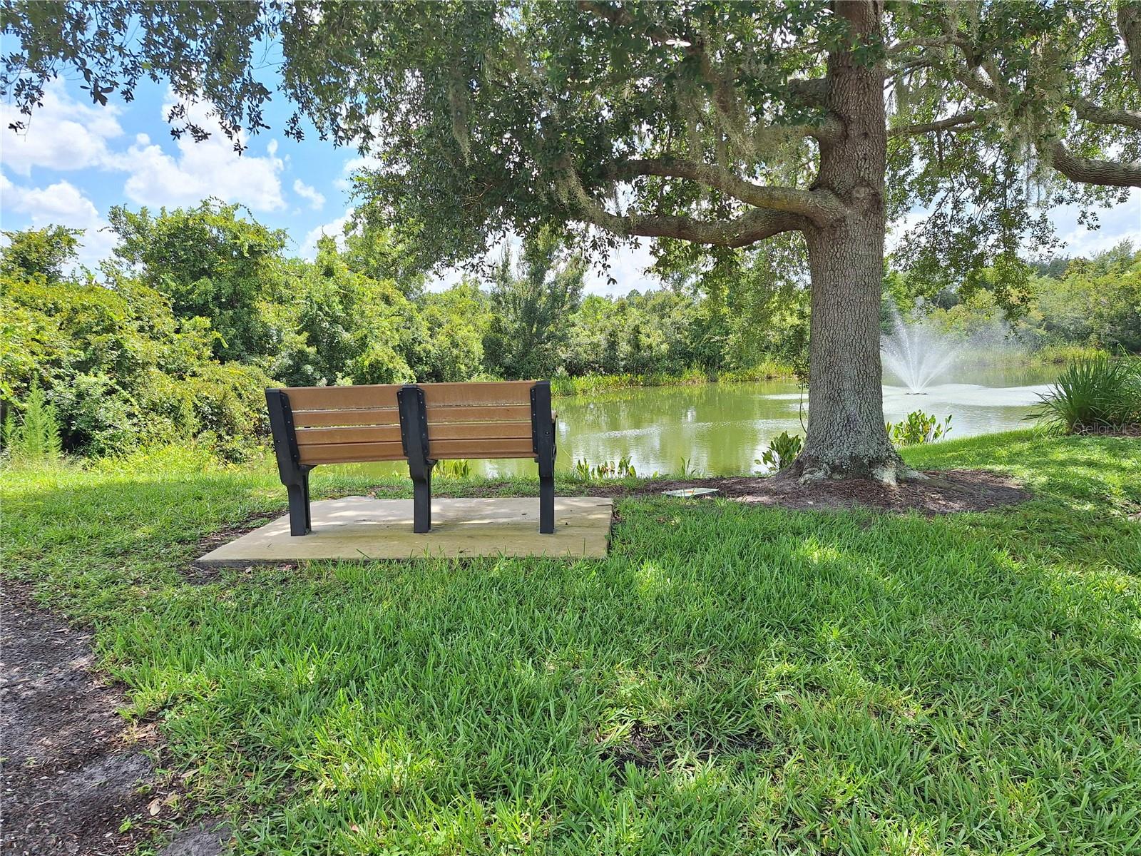 Serenity Awaits!